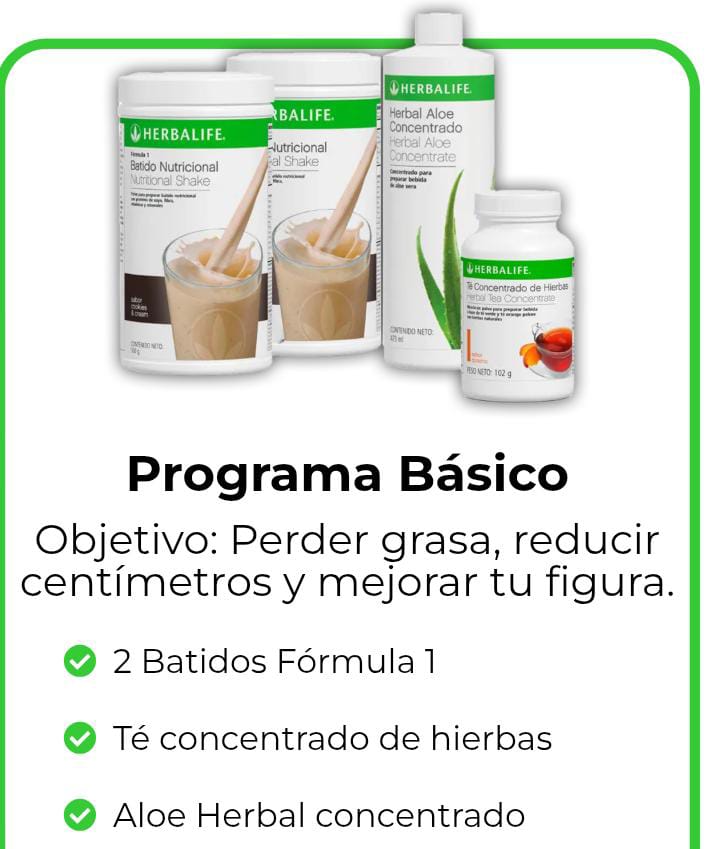 Programa Básico