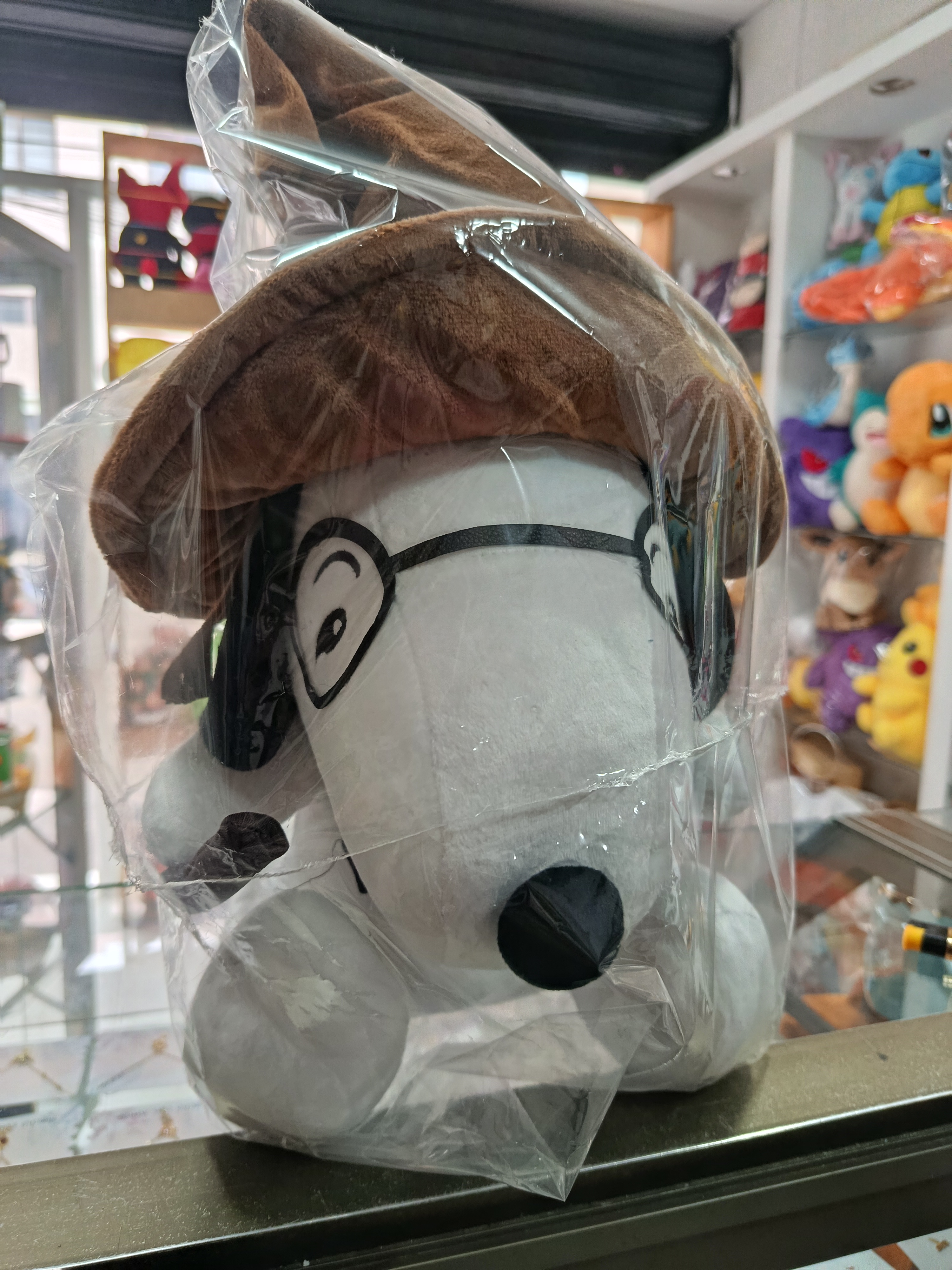 SNOOPY POTTER